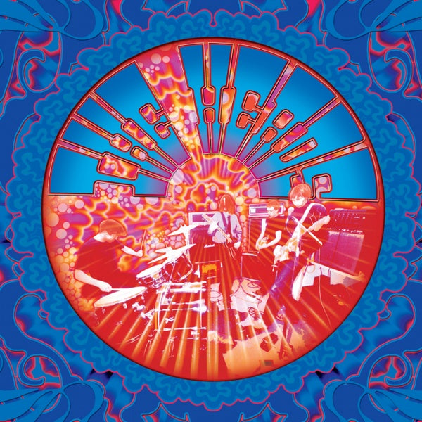 THE HEADS - Undersided Vinyl Record