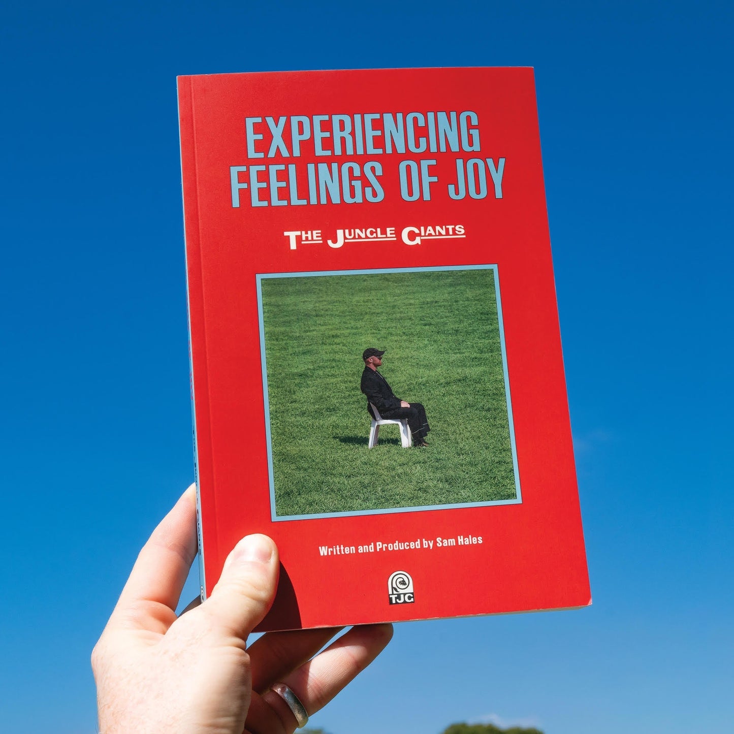 Experiencing Feelings Of Joy (Indie Exclusive) [Transparent Clear Vinyl] [Vinyl] Vinyl Record