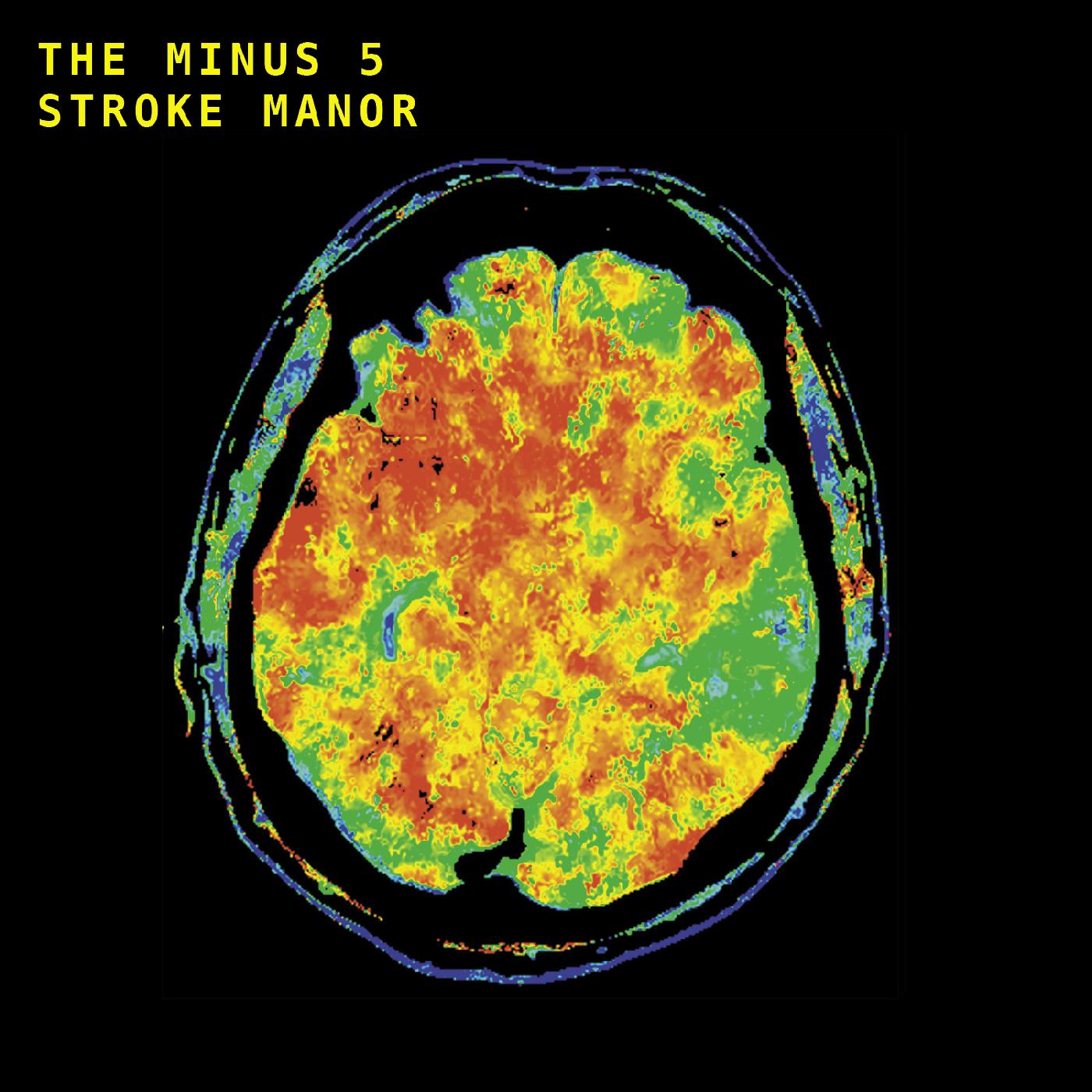 Stroke Manor Vinyl Record