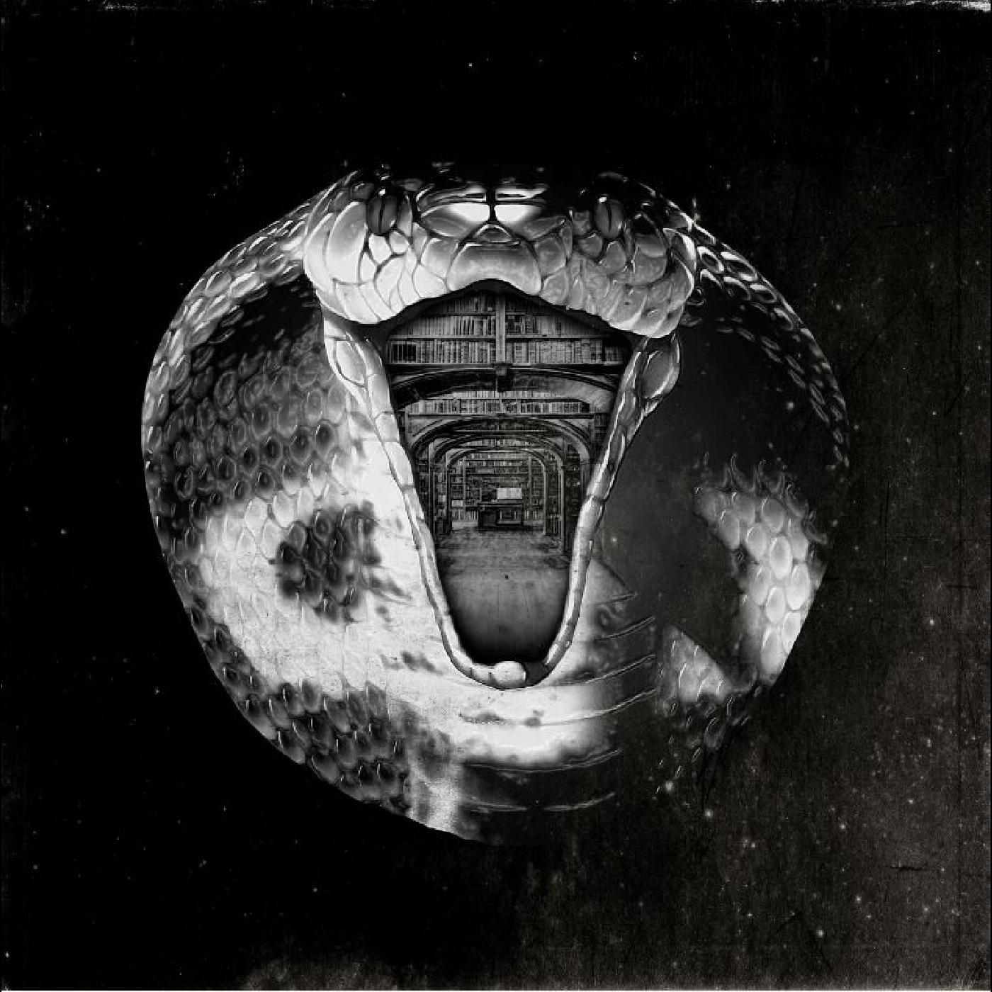 The Mommyheads - Genius Killer Vinyl Record