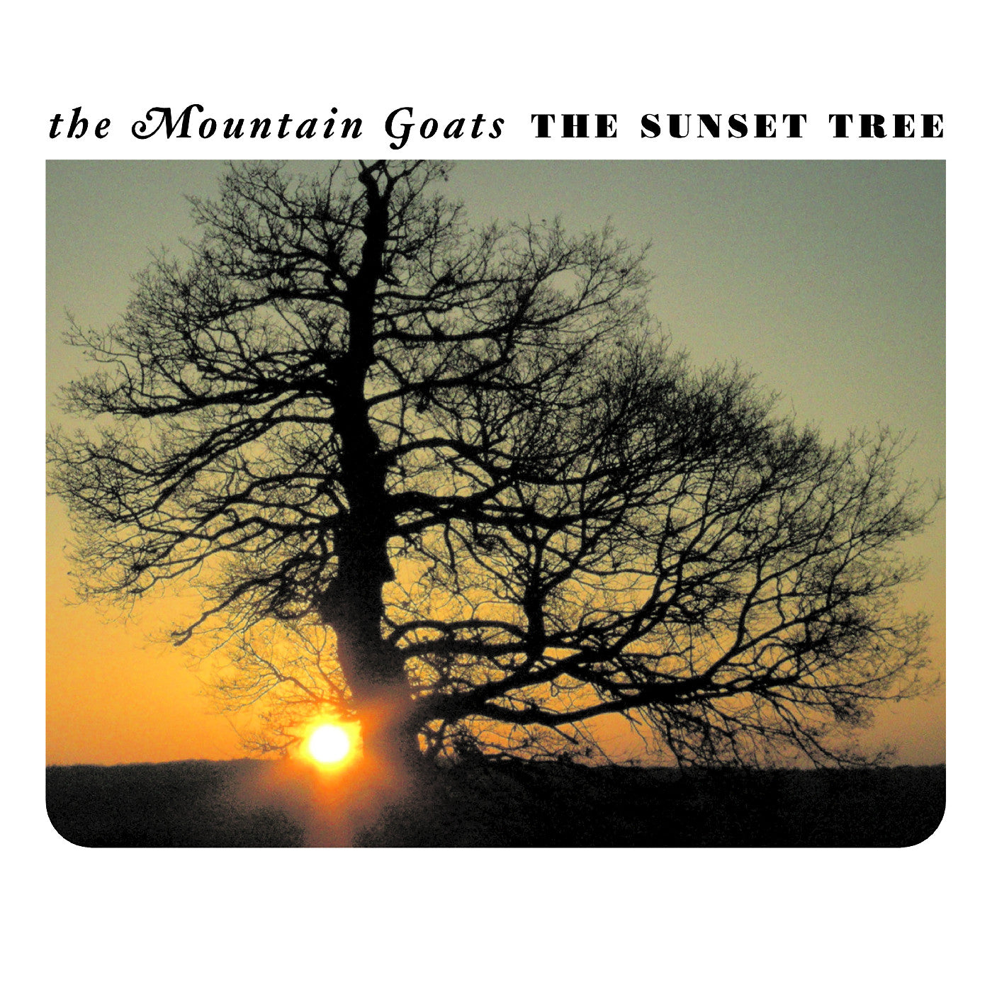 The Sunset Tree 20Th Anniversary Remaster (Apricot Vinyl) Vinyl Record