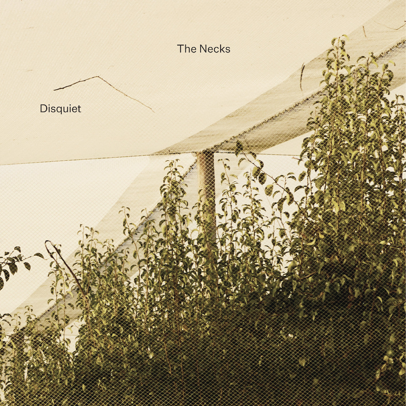 Disquiet Music CD