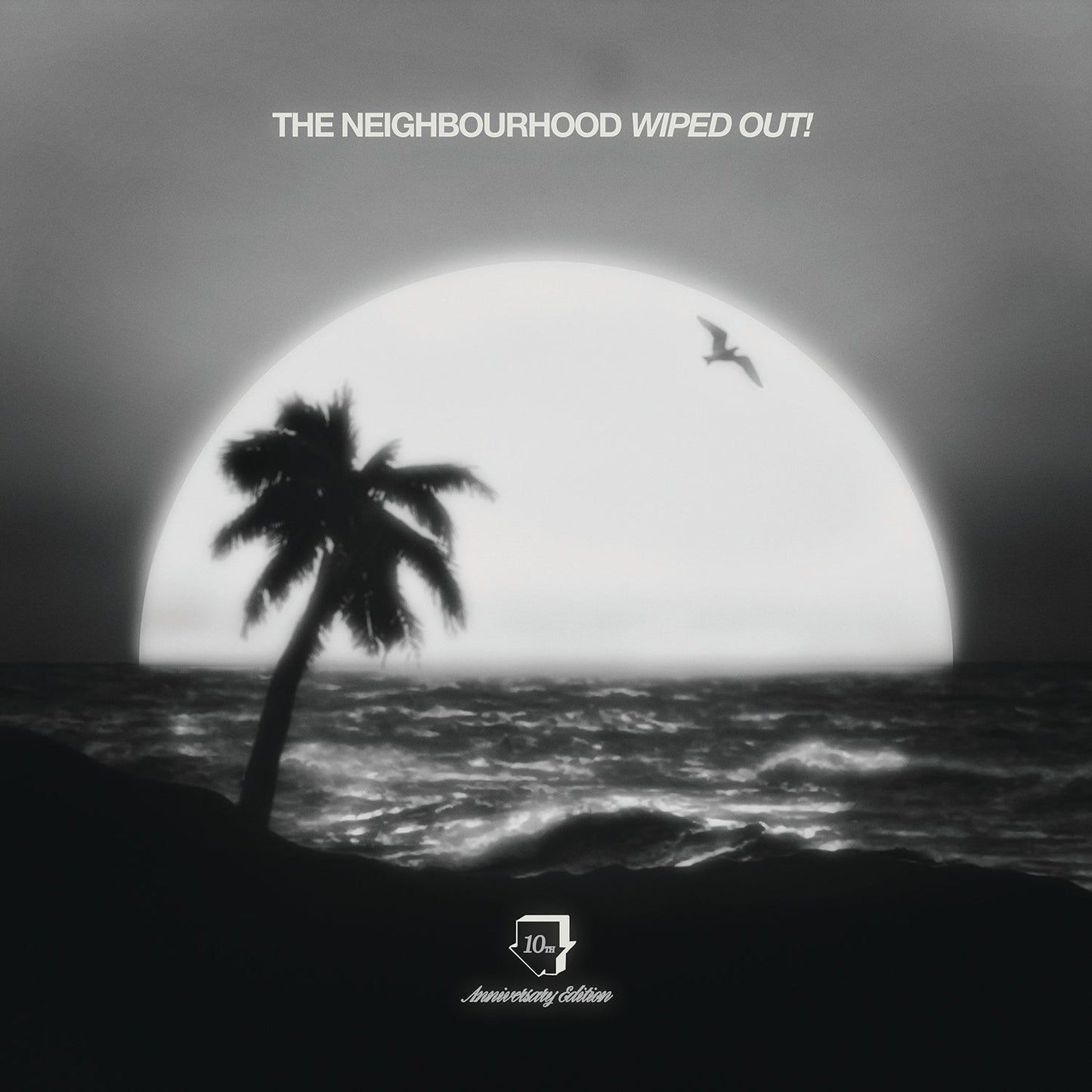 Wiped Out! 10Th Anniversary (180G) [2LP] Vinyl Record