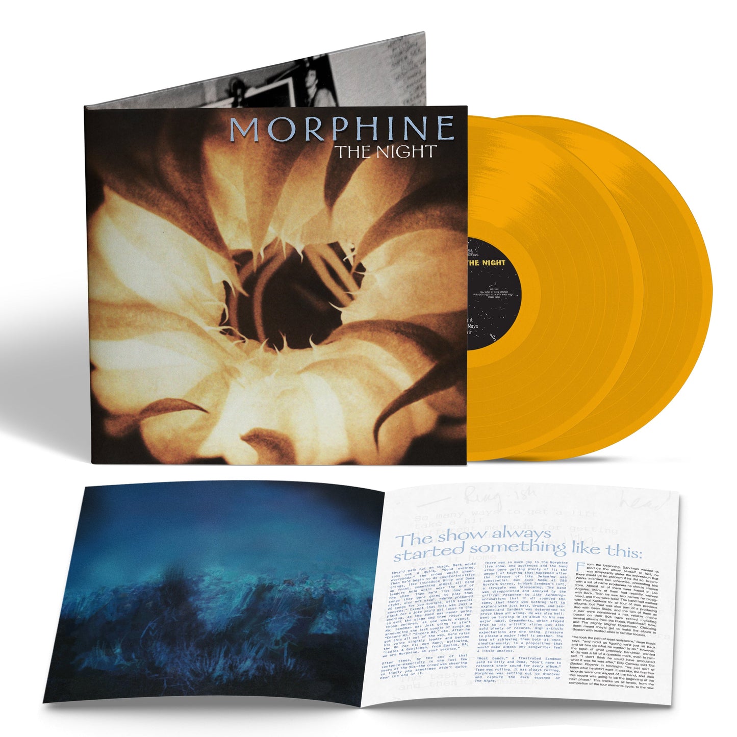 The Night [Orange] [Vinyl] Vinyl Record
