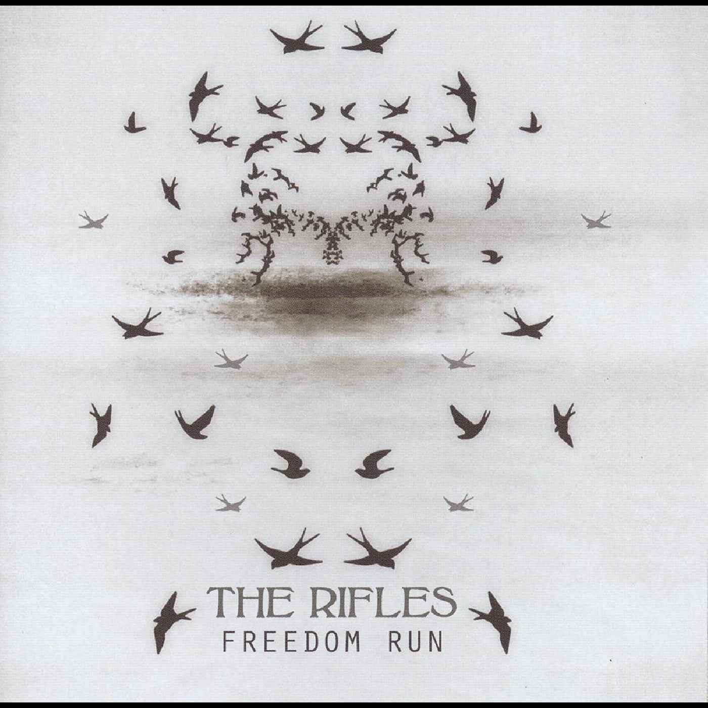 The Rifles - Freedom Run (Rosewood Vinyl) [Vinyl] Vinyl Record