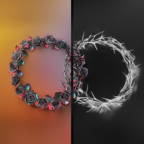 DUAL Vinyl Record