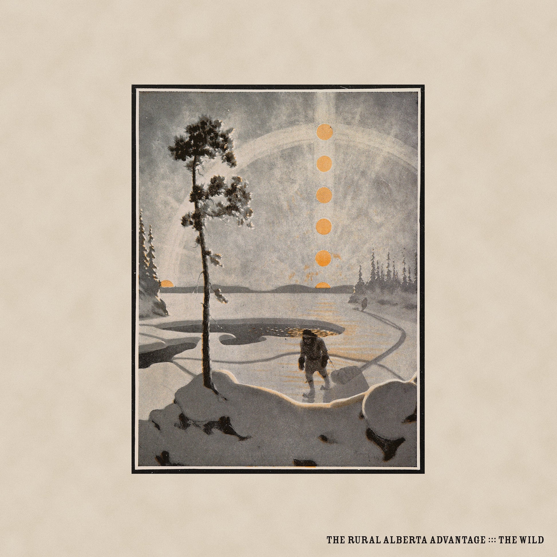 The Wild Music CD