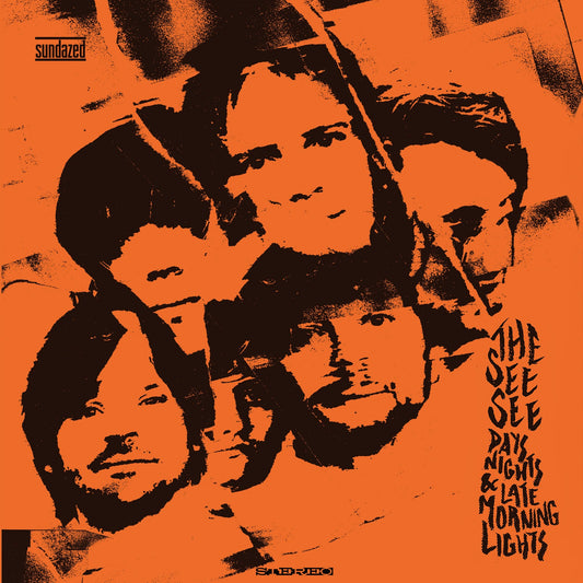Days, Nights & Late Morning Lights Vinyl Record