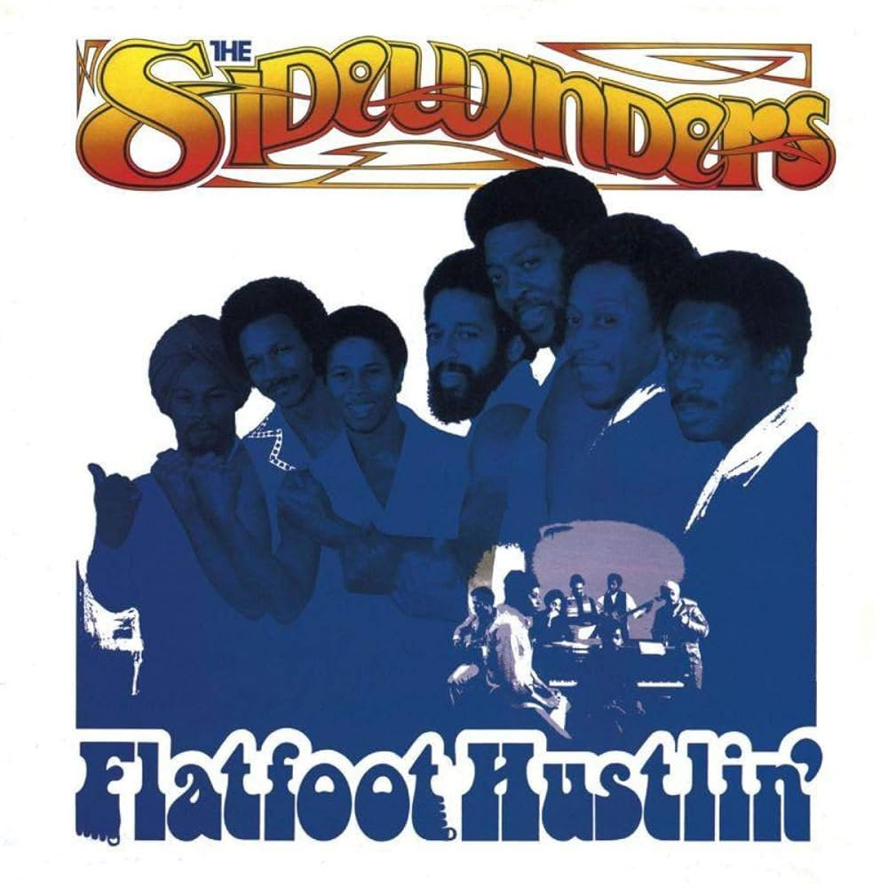 Flatfoot Hustlin' Vinyl Record