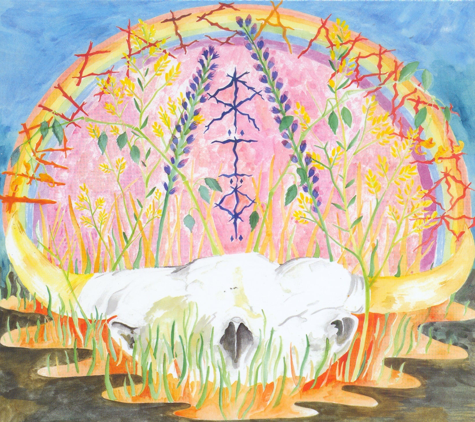 The USA Is A Monster - R.I.P. Vinyl Record