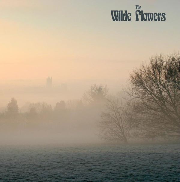 The Wilde Flowers Vinyl Record