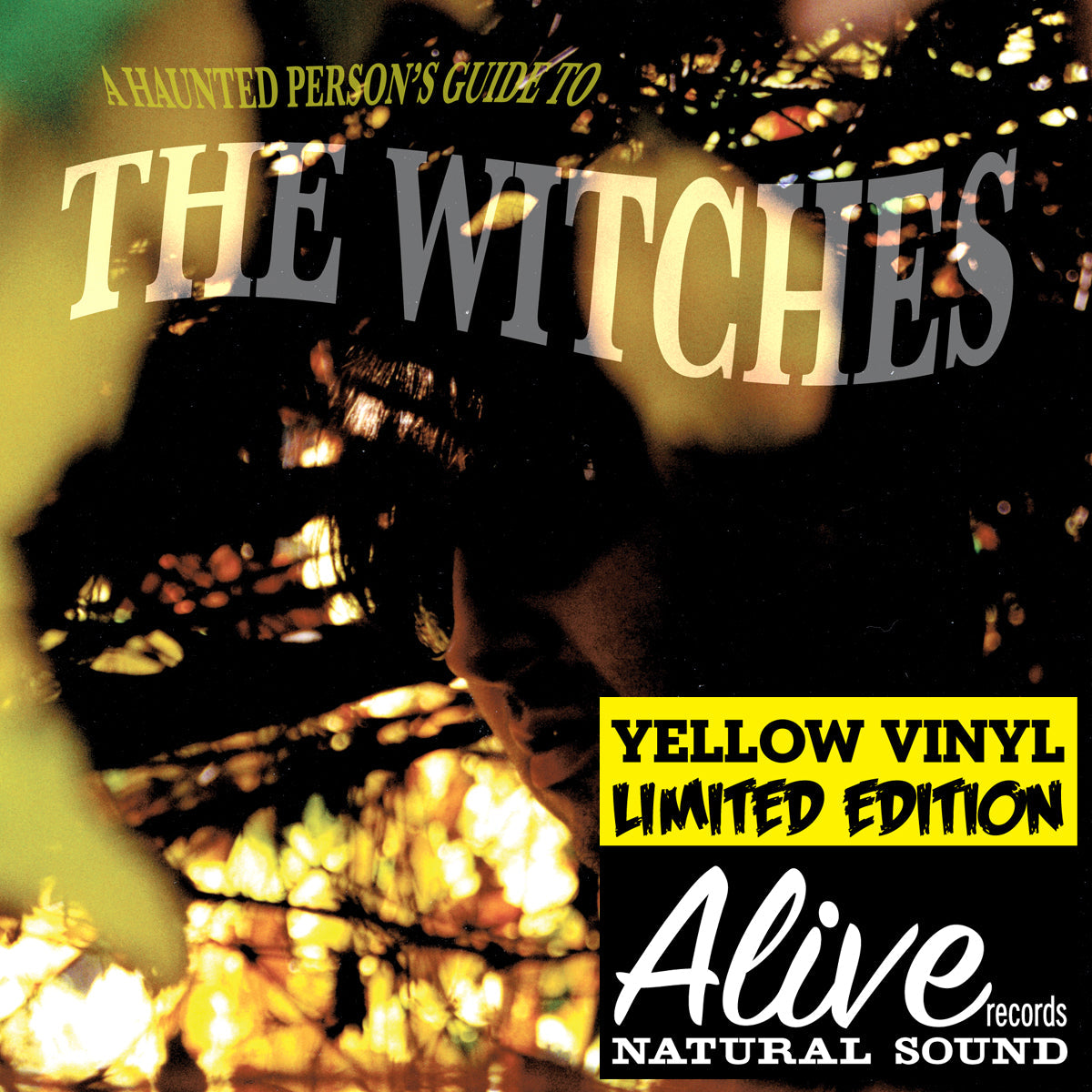 The Witches - A Haunted Person's Guide To The Witches Vinyl Record