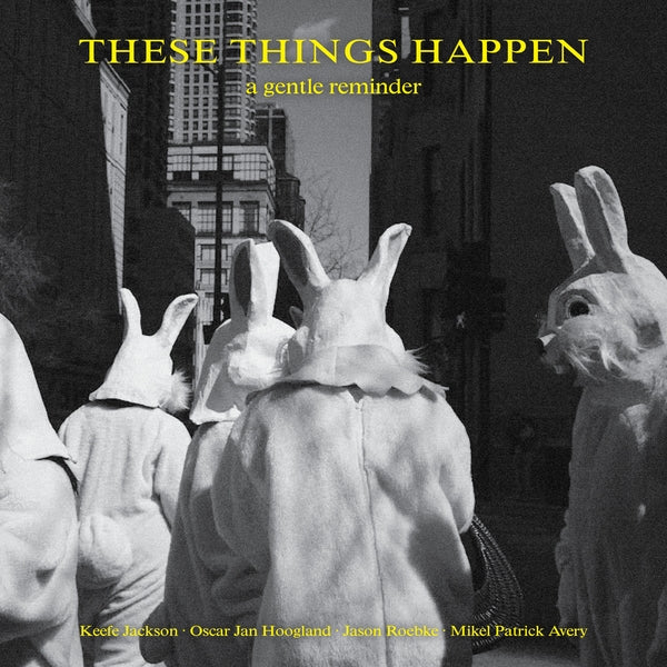 These Things Happen - A Gentle Reminder [LP] [Vinyl] Vinyl Record