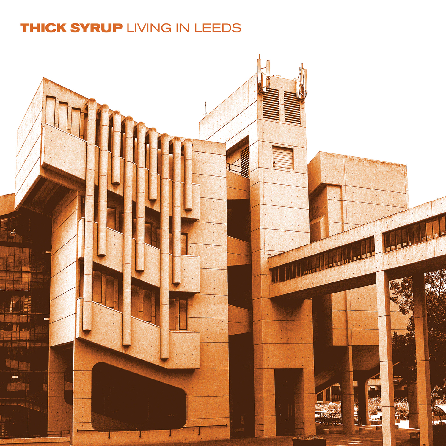 Thick Syrup - Living In Leeds Vinyl Record