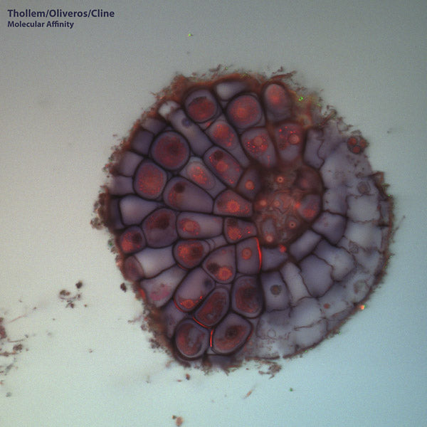 THOLLEM MCDONAS/PAULINE OLVEROS/NELS CLINE - Molecular Affinity [Vinyl] Vinyl Record