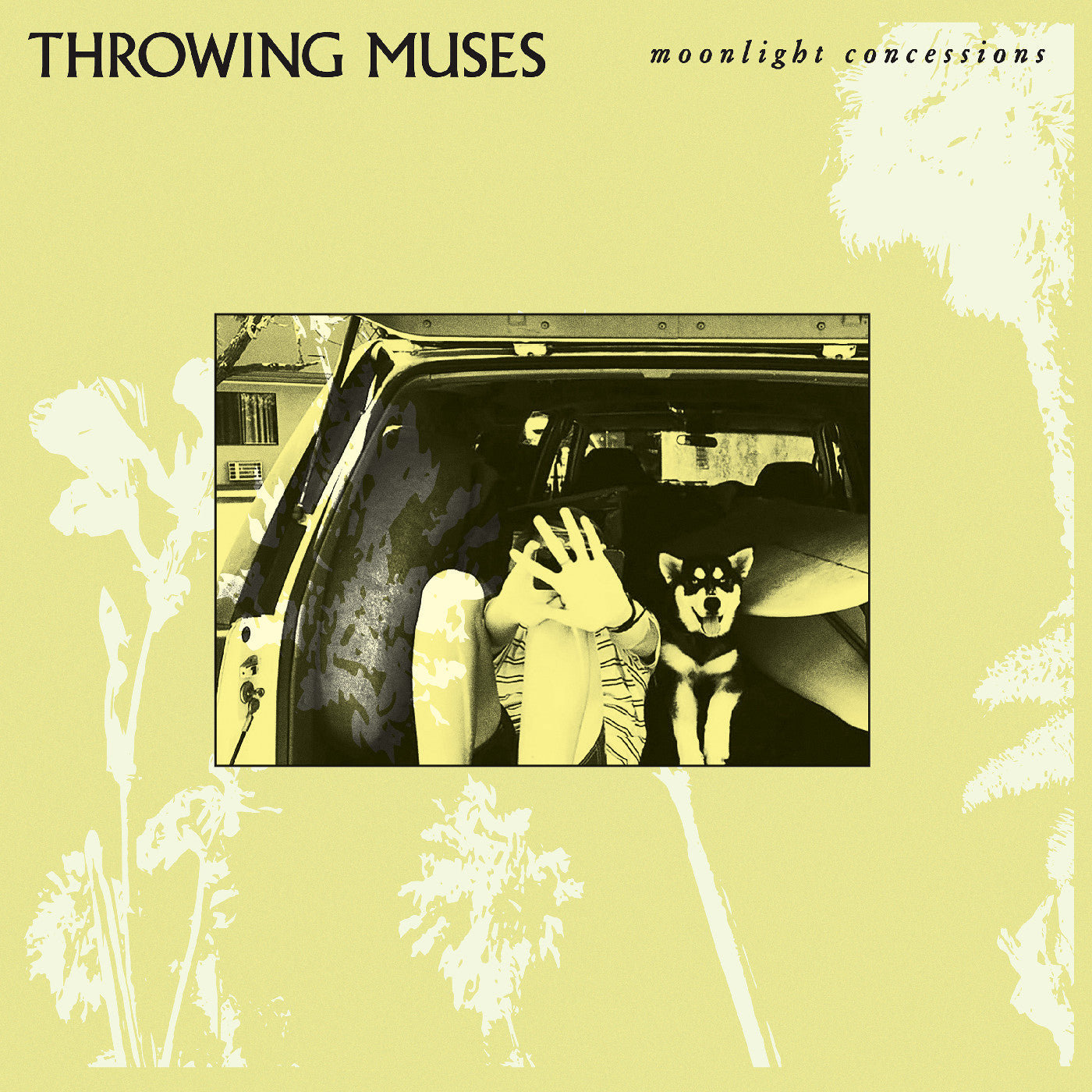 Moonlight Concessions [Vinyl] Vinyl Record