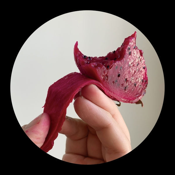 Lmz:Rmx (PICTURE DISC EP) Vinyl Record