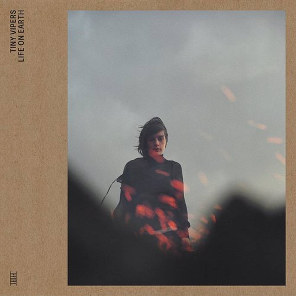 Life On Earth (INDIE EX) Vinyl Record