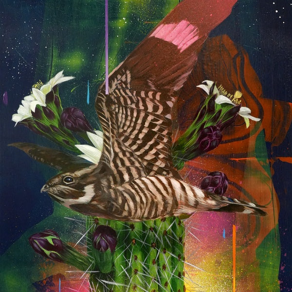 TODD RUSSELL & THE DANGEROUS COATS - Playa Larga/1900 Ocean Ave Vinyl Record