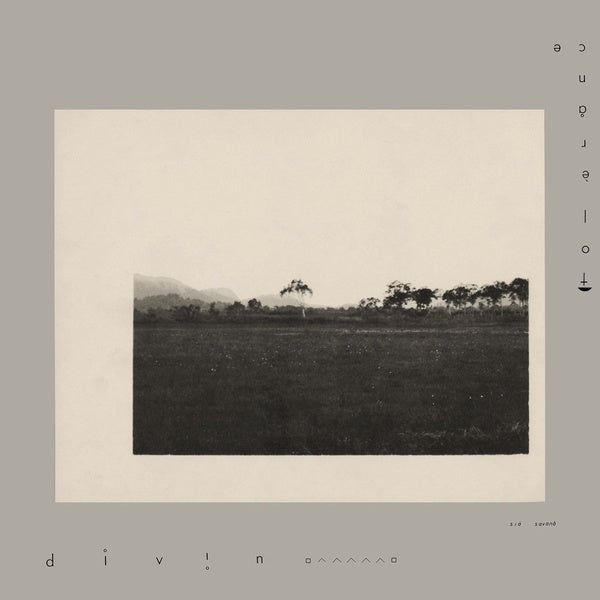 TOLERANCE - DIVIN Vinyl Record