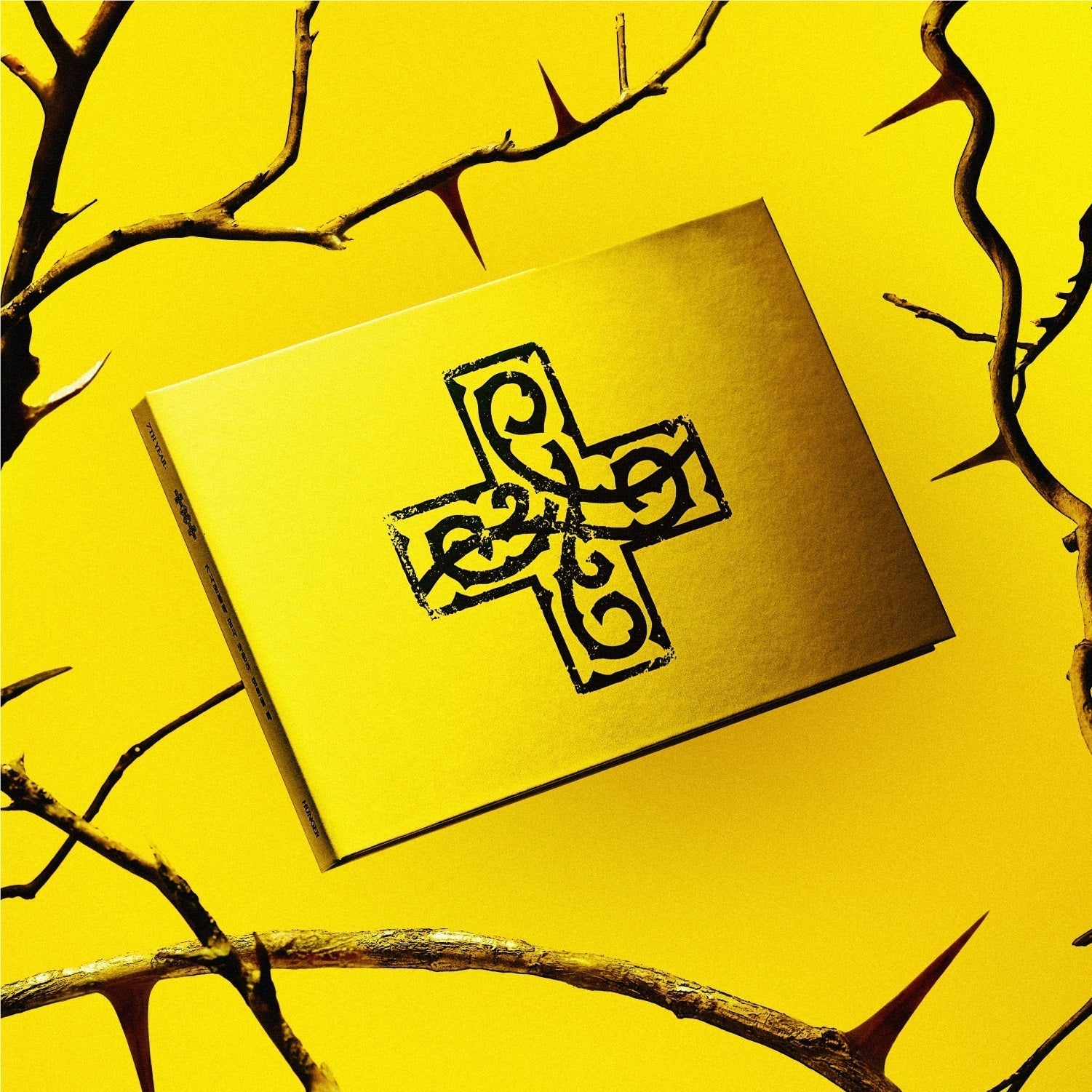 7Th Year: A Moment Of Stillness In The Thorns [Hunger Ver.] [CD] Music CD