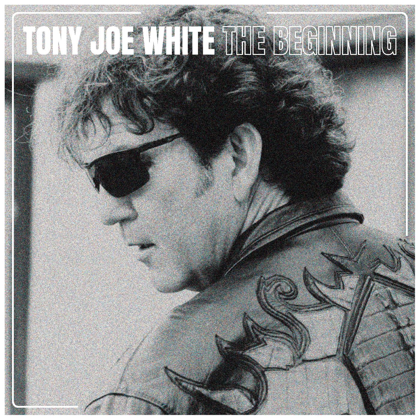The Beginning Vinyl Record