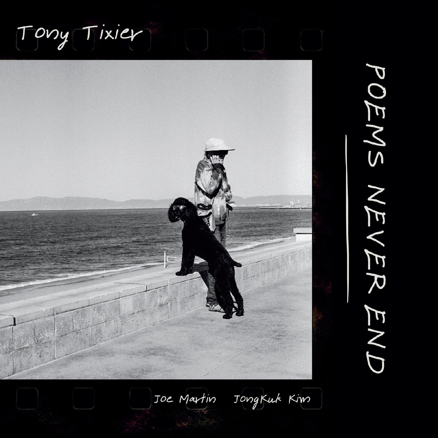 Poems Never End Vinyl Record