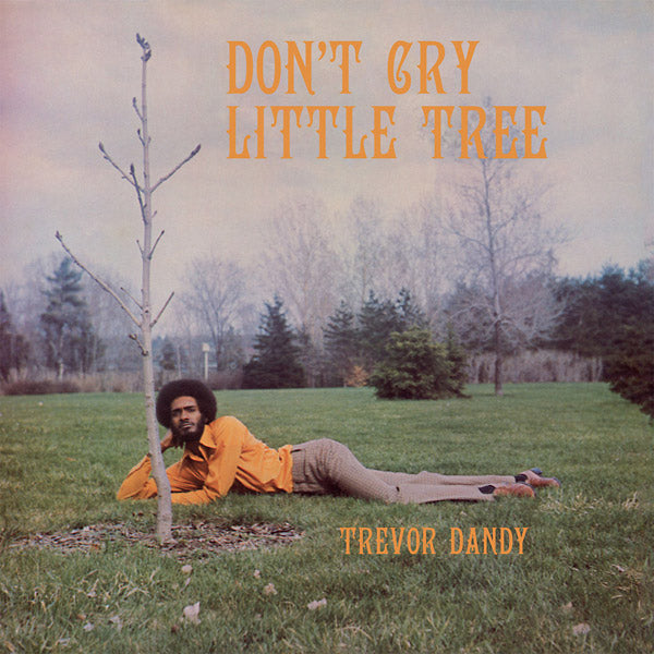 TREVOR DANDY - Don't Cry Little Tree Vinyl Record