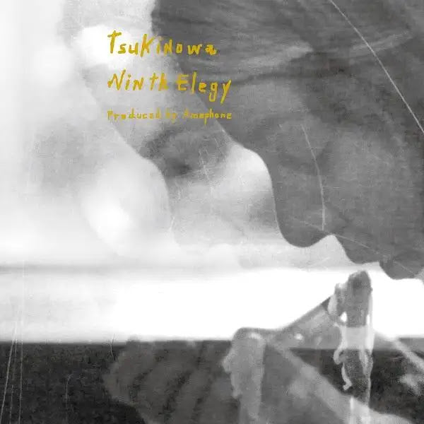 Ninth Elegy Vinyl Record