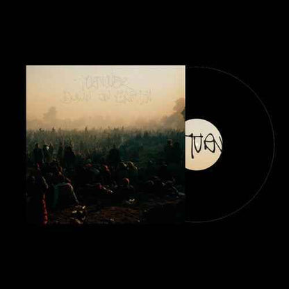 Turnover - Down on Earth [Vinyl] Vinyl Record