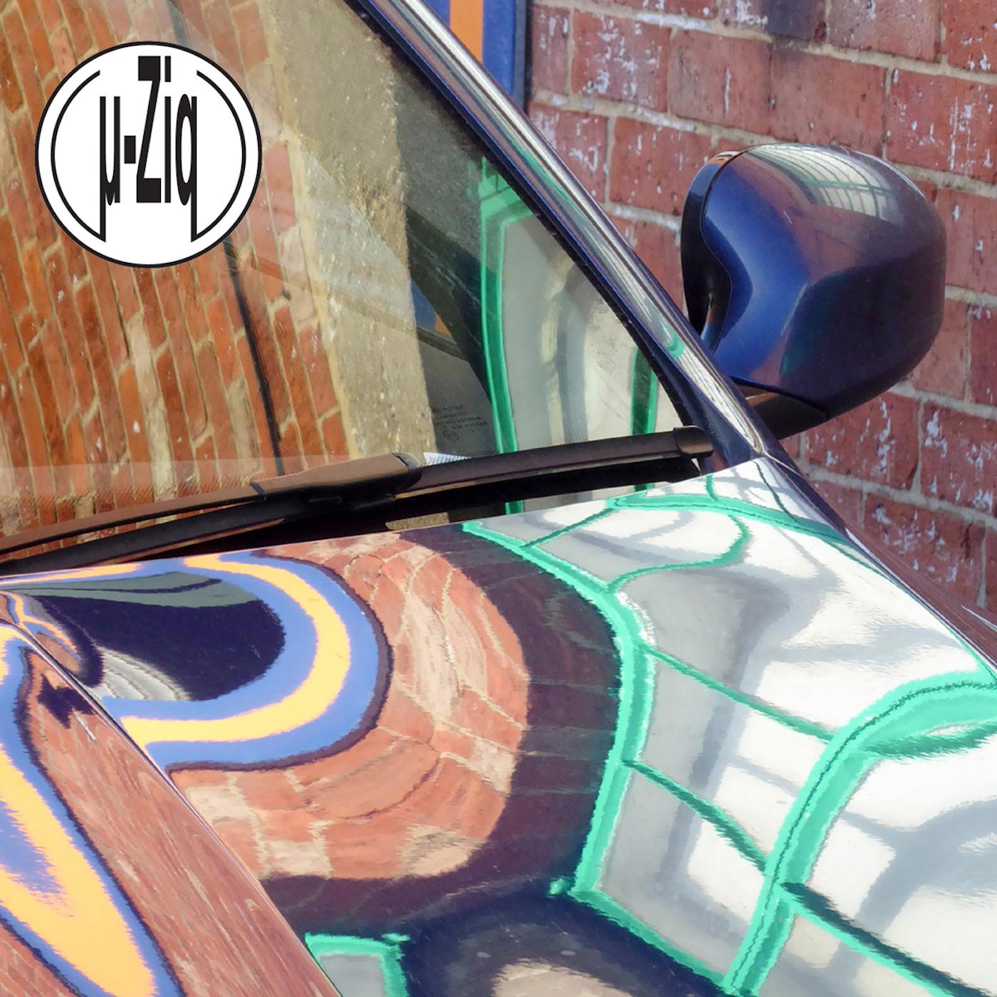 Challenge Me Foolish Vinyl Record