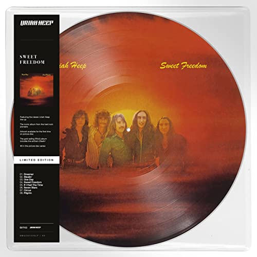 Sweet Freedom Vinyl Record