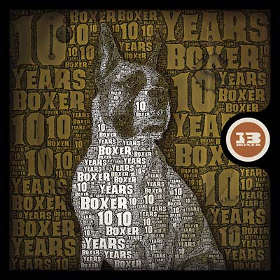 10 Years Of Boxer Music CD