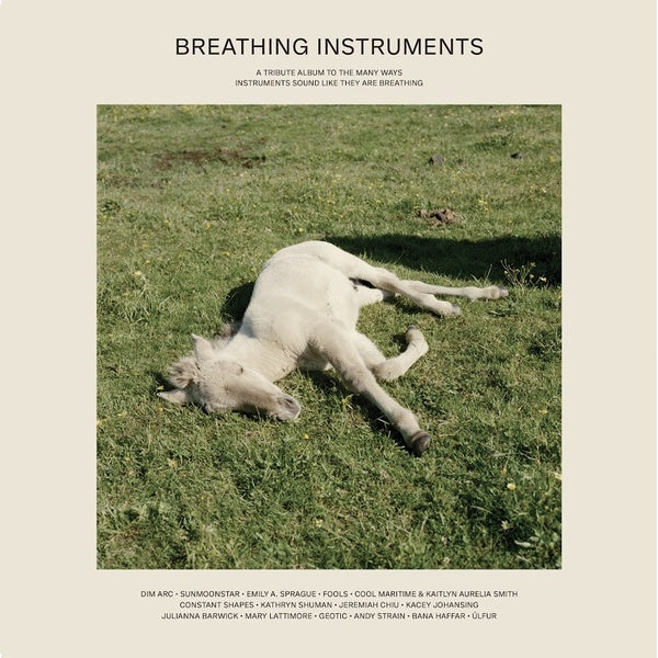 Breathing Instruments Vinyl Record