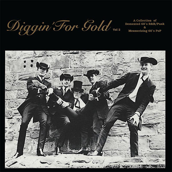 Diggin' For Gold Volume 2 Vinyl Record