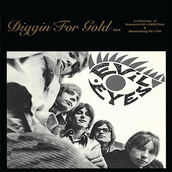 Va - Diggin' For Gold Volume 6 Vinyl Record