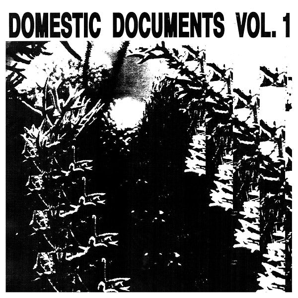 Va - Domestic Documents Vol. 1: Compiled by Butter Sessions and Noise In My Head [Vinyl] Vinyl Record