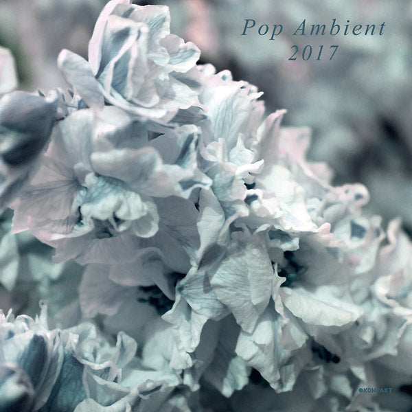 Va - Pop Ambient 2017 Vinyl Record