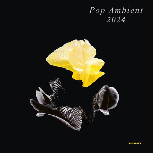 Va - Pop Ambient 2024 Vinyl Record