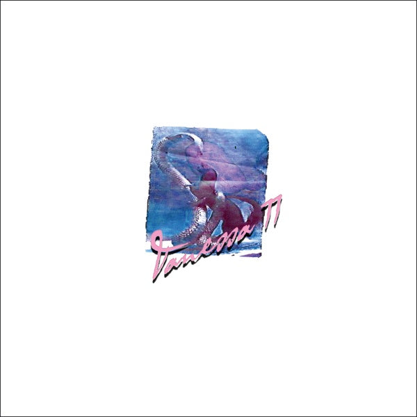 VANESSA WORM - Vanessa 77 Vinyl Record