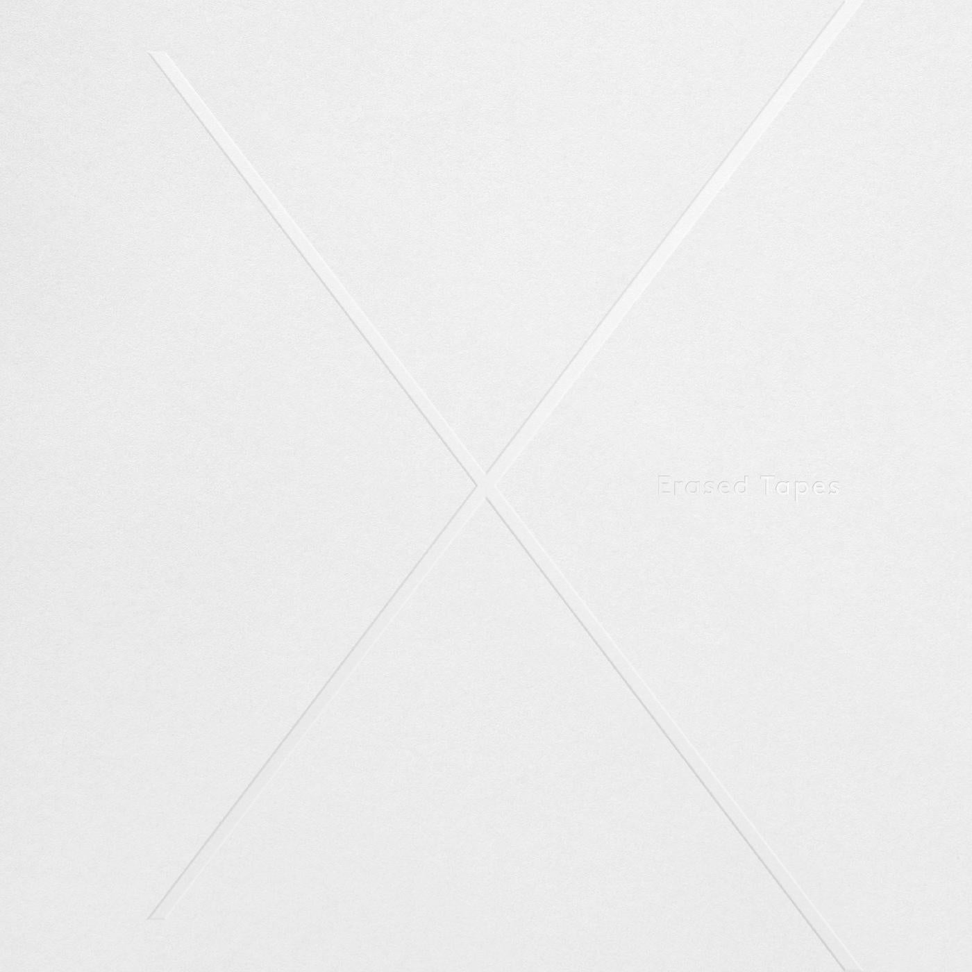 Various Artists - 1+1=X Vinyl Record