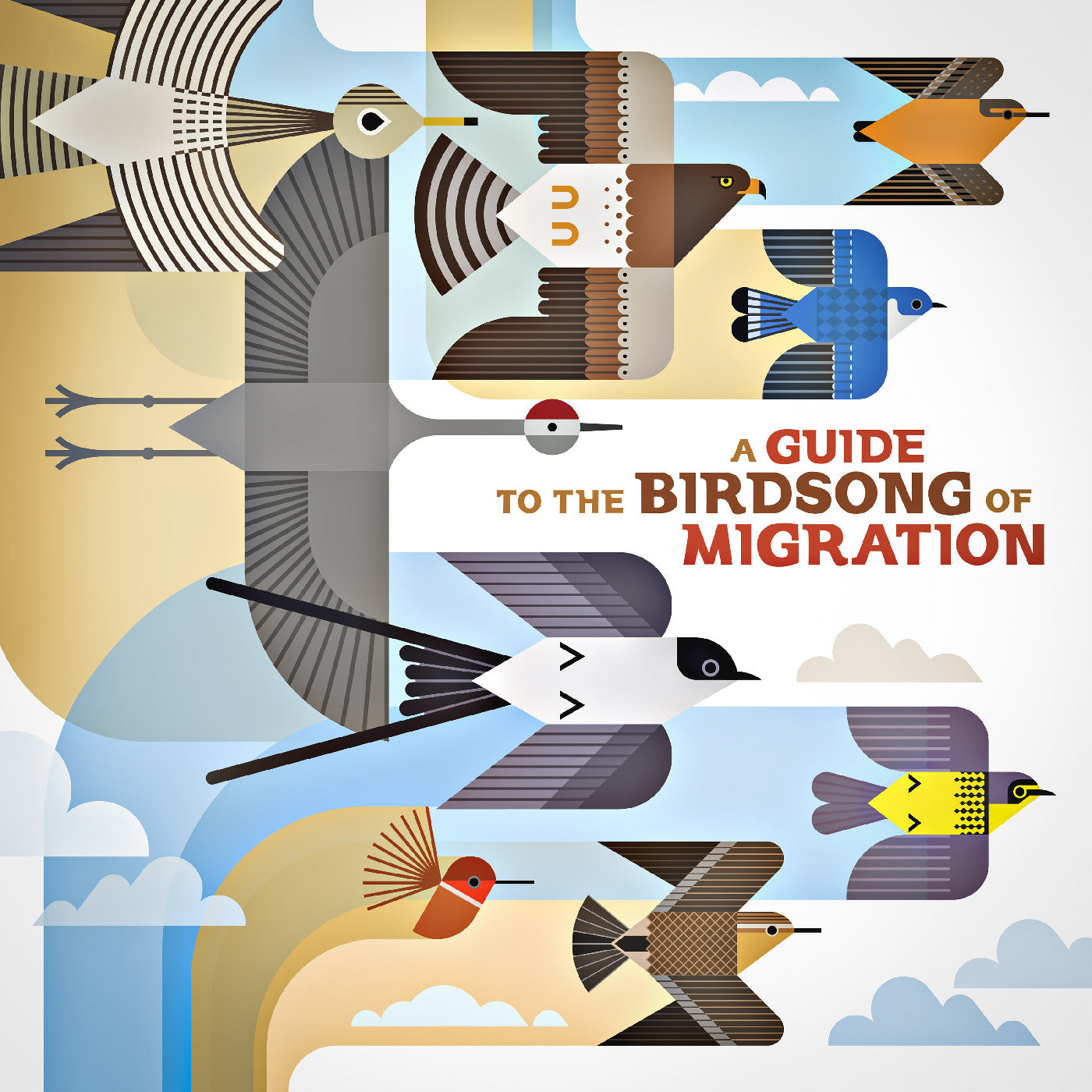 A Guide To The Birdsong Of Migration Vinyl Record