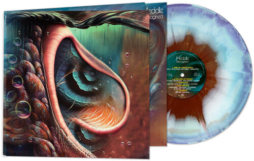 Meddle Reimagined: A Tribute To Pink Floyd Colored Vinyl Vinyl Record