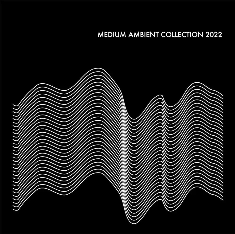 Medium Ambient Collection 2022 Black Vinyl Record