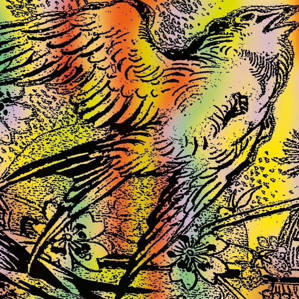 One Swallow Doesn'T Make A Summer Part 7 Vinyl Record