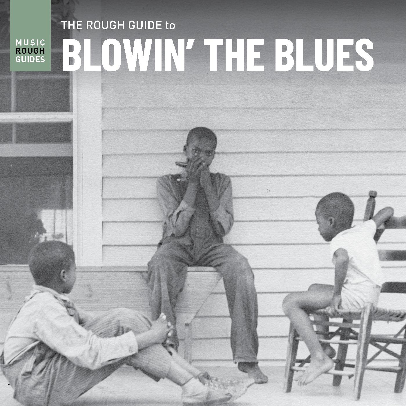 Various Artists - Rough Guide To Blowin‚Äô The Blues Vinyl Record