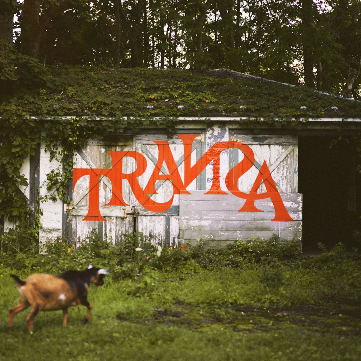Transa (Deluxe Edition) Vinyl Record