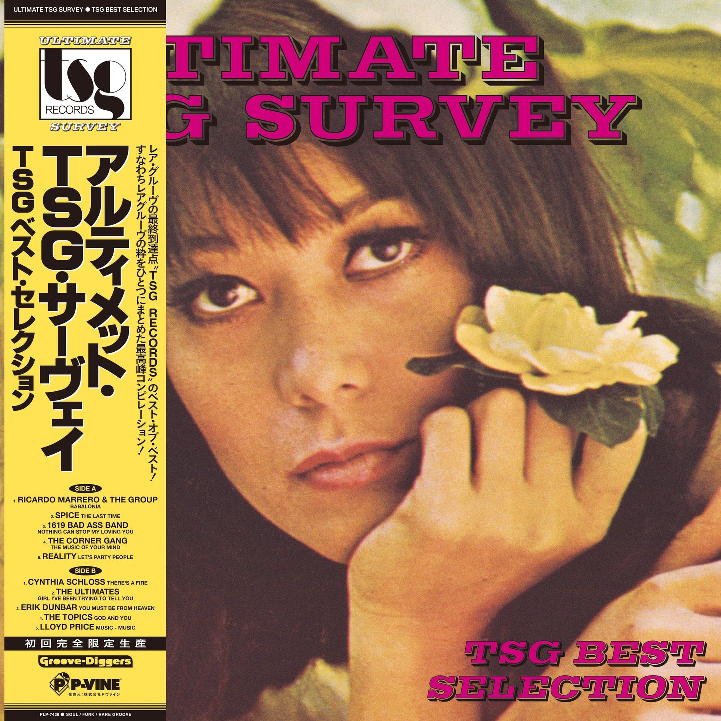 Ultimate Tsg Survey (Tsg Best Selection) [Vinyl] Vinyl Record