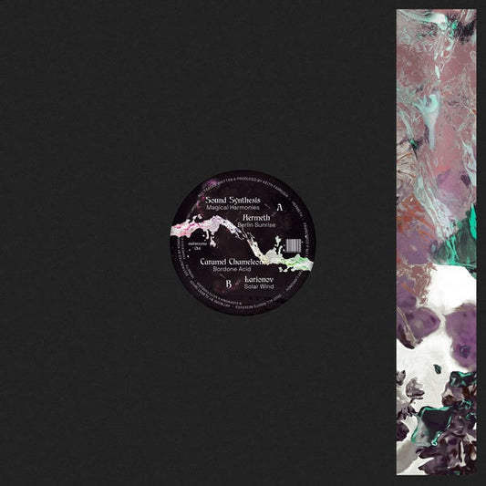 Acid Explorations Vinyl Record