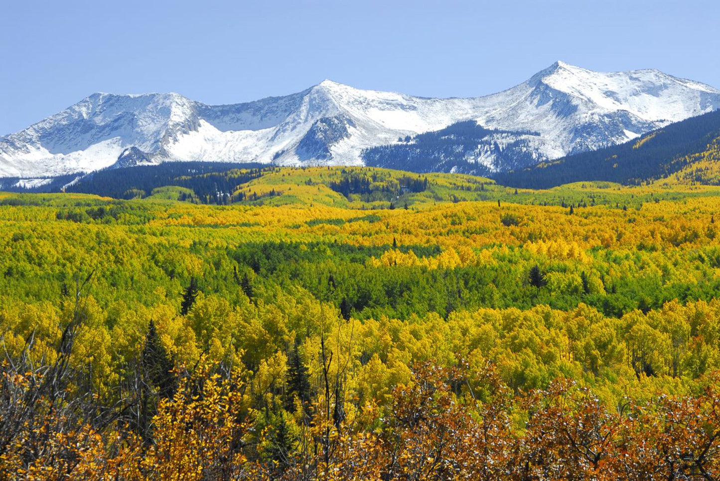 Capture My Colorado: Aspen Book